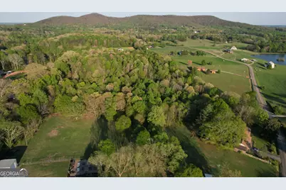 177 Marvin Miles Road, Clermont, GA 30527 - Photo 33