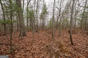 0 Owenby Rd, Blairsville, GA 30512 - Photo 11