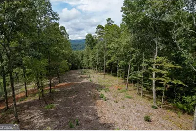 Lot 315 Pebble Trace #315, Talking Rock, GA 30175 - Photo 1