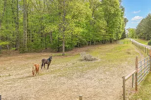 404 Tranquil Cemetary Rd, Senoia, GA 30276 - Photo 9