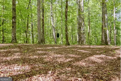 404 Tranquil Cemetary Road, Senoia, GA 30276 - Photo 13