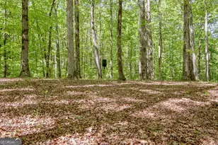 404 Tranquil Cemetary Rd, Senoia, GA 30276 - Photo 13