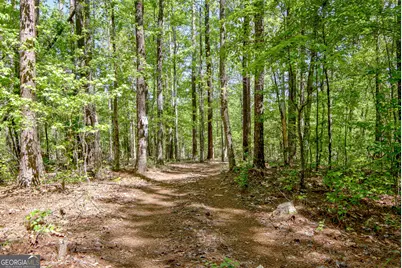 404 Tranquil Cemetary Road, Senoia, GA 30276 - Photo 63