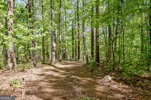 404 Tranquil Cemetary Rd, Senoia, GA 30276 - Photo 63