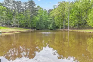 404 Tranquil Cemetary Rd, Senoia, GA 30276 - Photo 51