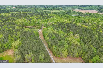 404 Tranquil Cemetary Road, Senoia, GA 30276 - Photo 5