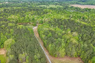 404 Tranquil Cemetary Rd, Senoia, GA 30276 - Photo 5