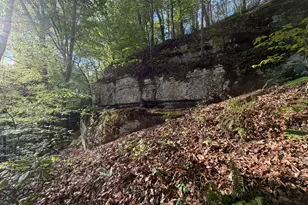 3052 Damascus, Baldwin, GA 30511 - Photo 33