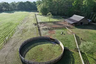 3052 Damascus, Baldwin, GA 30511 - Photo 29