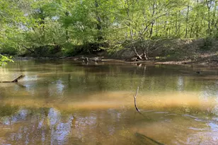 3052 Damascus, Baldwin, GA 30511 - Photo 39