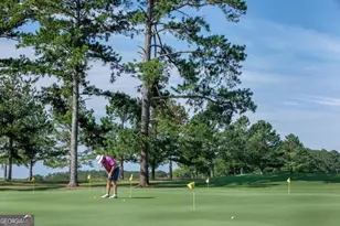 229 Eagles Wy, Eatonton, GA 31024 - Photo 55