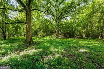 0 Creekview Drive, Madison, GA 30650 - Photo 9