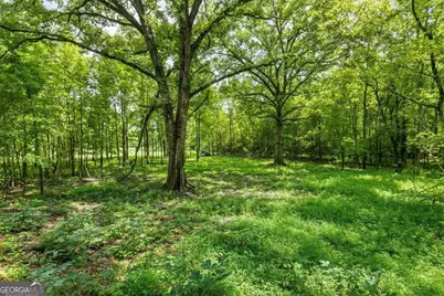 0 Creekview Drive, Madison, GA 30650 - Photo 15