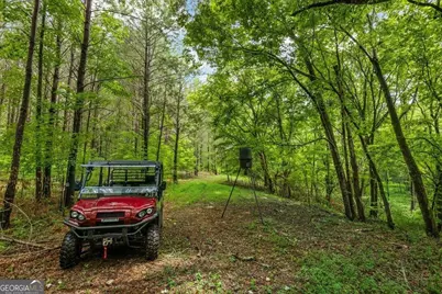 0 Creekview Drive, Madison, GA 30650 - Photo 17