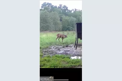 0 Creekview Drive, Madison, GA 30650 - Photo 11