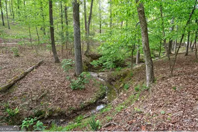 1080 Jones Bluff Court, Greensboro, GA 30642 - Photo 59