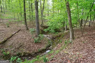 1080 Jones Bluff Ct, Greensboro, GA 30642 - Photo 59