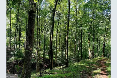 7.123 Acres Halls Mill Road, Dahlonega, GA 30533 - Photo 3