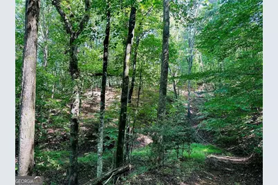 7.123 Acres Halls Mill Road, Dahlonega, GA 30533 - Photo 5