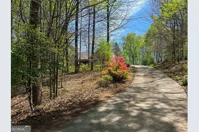 236 Fairview Court, Demorest, GA 30535 - Photo 31