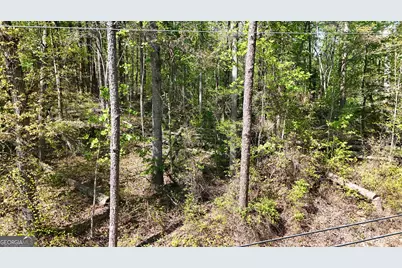 0 Holcomb North Drive, Martin, GA 30557 - Photo 3