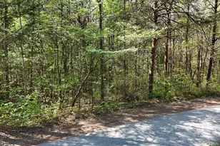 0 Holcomb North Dr, Martin, GA 30557 - Photo 1