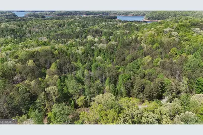 0 Holcomb North Drive, Martin, GA 30557 - Photo 9