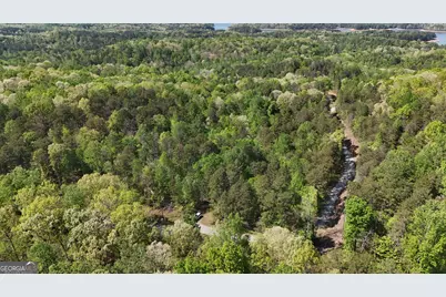 0 Holcomb North Drive, Martin, GA 30557 - Photo 11