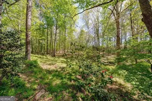 919 Lebanon Pl, Woodstock, GA 30188 - Photo 41