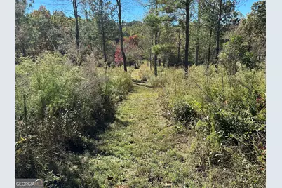 Lt 26 Arbor Creek Trail #26, Mineral Bluff, GA 30559 - Photo 3