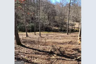 Lt 26 Arbor Creek Trail #26, Mineral Bluff, GA 30559 - Photo 1