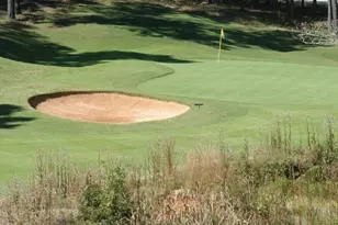 29 Vinings Trace, Newnan, GA 30265 - Photo 151