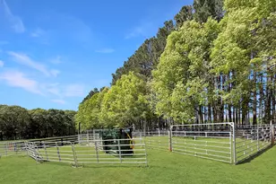 6356 Hwy 191, Comer, GA 30629 - Photo 85