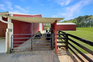 6356 Hwy 191, Comer, GA 30629 - Photo 83