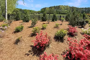 6356 Hwy 191, Comer, GA 30629 - Photo 71