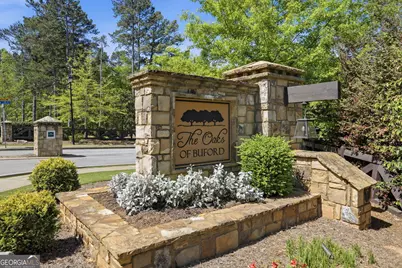 4217 Alba Lane, Buford, GA 30519 - Photo 87