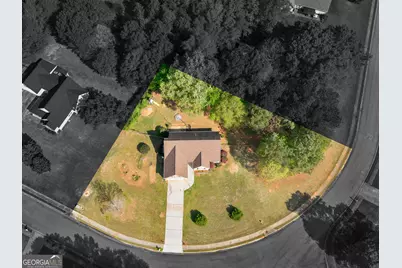 148 Dodgen Place Drive, Hampton, GA 30228 - Photo 23