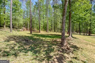 153 Carlow Ct, Newnan, GA 30263 - Photo 51