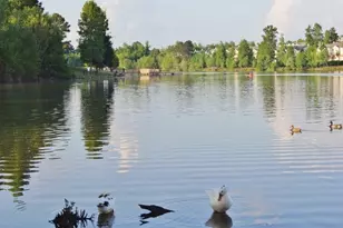 151 Lake Forest Dr, Newnan, GA 30265 - Photo 97