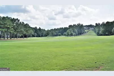 151 Lake Forest Drive, Newnan, GA 30265 - Photo 109