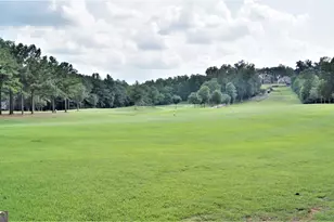 151 Lake Forest Dr, Newnan, GA 30265 - Photo 109