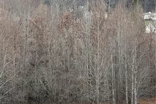 0 Hwy 75 Alt Ga, Cleveland, GA 30528 - Photo 1