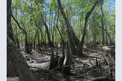 0 Lewis Landing, Nahunta, GA 31553 - Photo 3