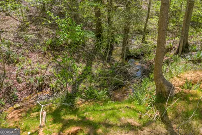 1715 Faye Carey Road, Danielsville, GA 30633 - Photo 45
