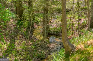 1715 Faye Carey Rd, Danielsville, GA 30633 - Photo 47