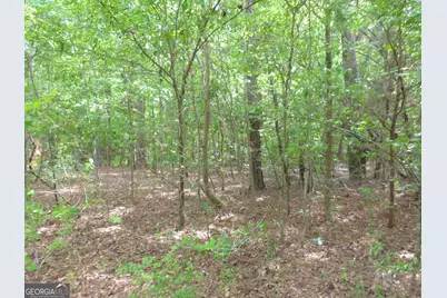 0 Winfield Road, Applin, GA 30802 - Photo 5