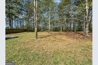 11647 Matthews Trail, Hampton, GA 30228 - Photo 17