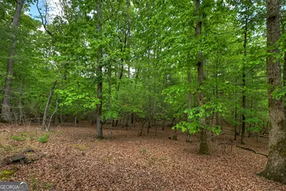 366 Shepherds Way, Morganton, GA 30560 - Photo 75