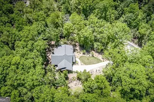 366 Shepherds Way, Morganton, GA 30560 - Photo 13