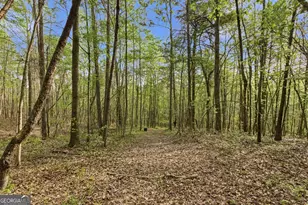 6668 Belton Bridge Rd, Lula, GA 30554 - Photo 5